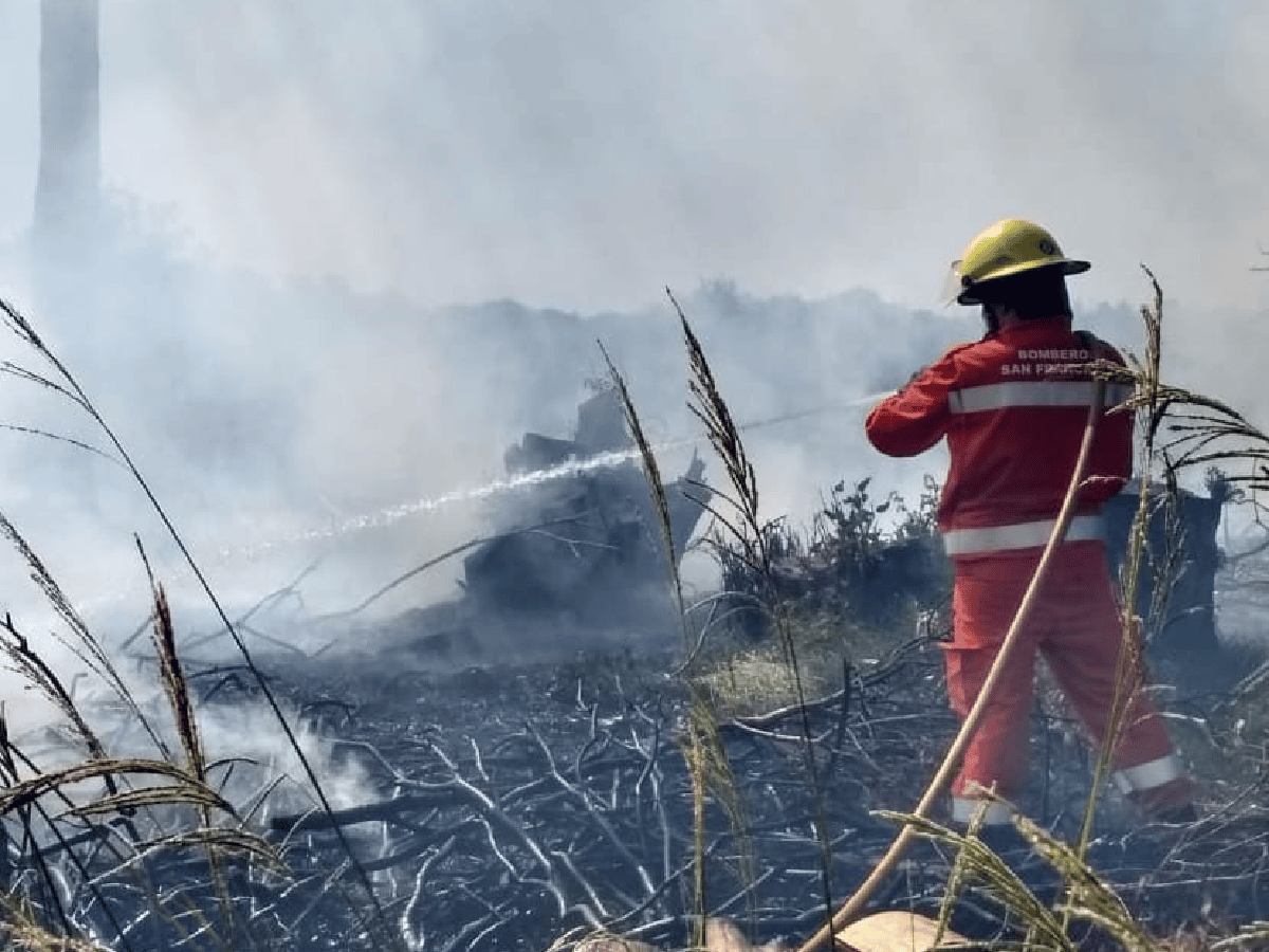 Incendio forestal en el Hipódromo: Bomberos trabajaron más de 3 horas