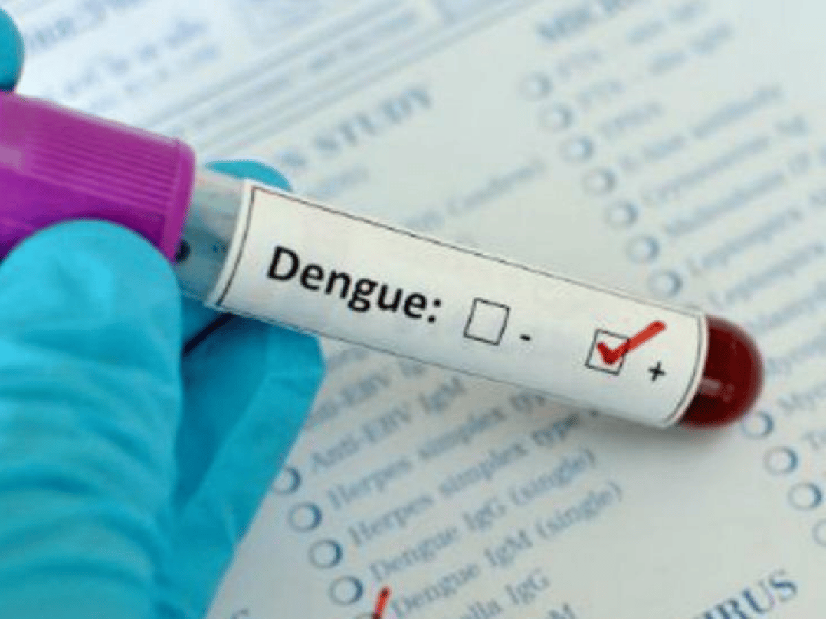 Cinco nuevos casos de dengue en la ciudad de Córdoba 