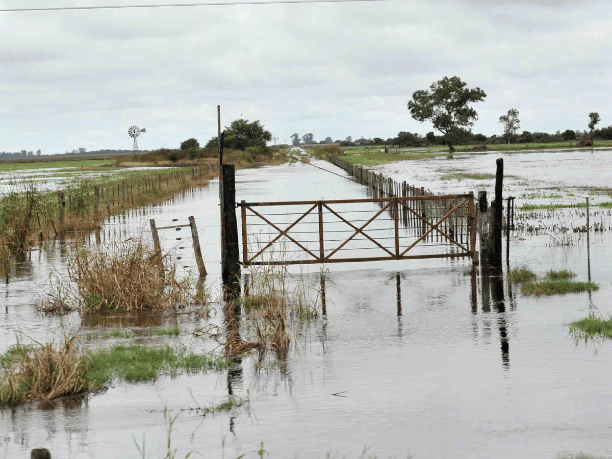 Se estiman pérdidas hasta por U$S 40 millones por las inundaciones en los campos de Córdoba