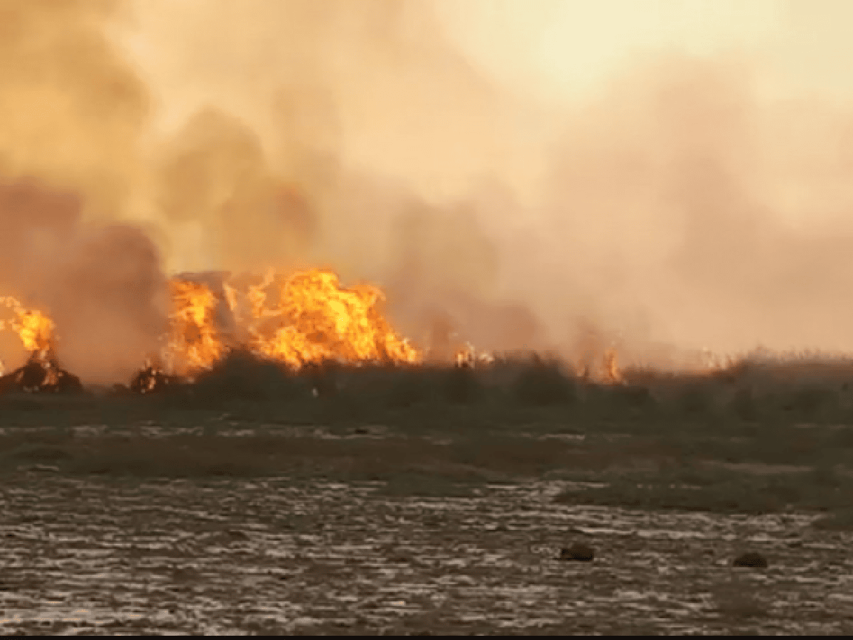 El incendio forestal quemó 2.500 hectáreas cerca de Devoto  