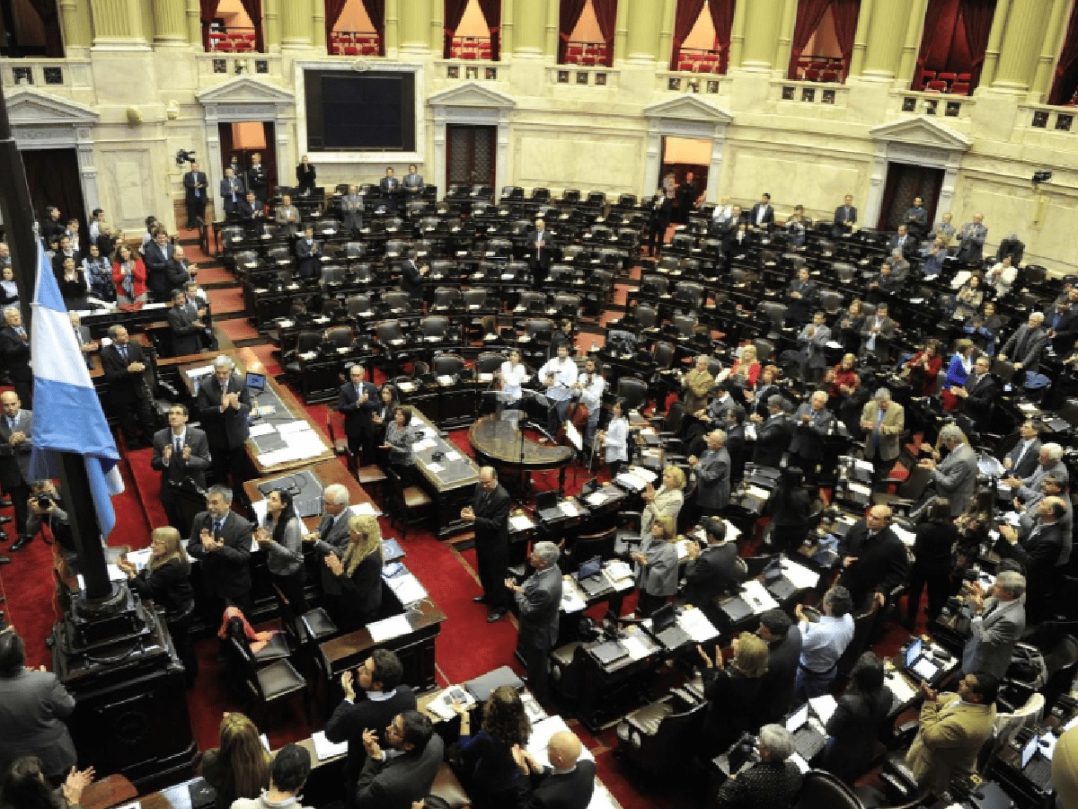 El Congreso buscará consensos para un "repudio al golpe de Estado en Bolivia"