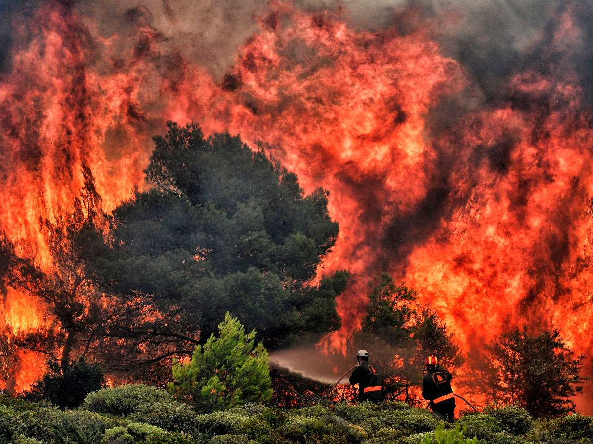 Incendios voraces dejan 74 muertos en Grecia 