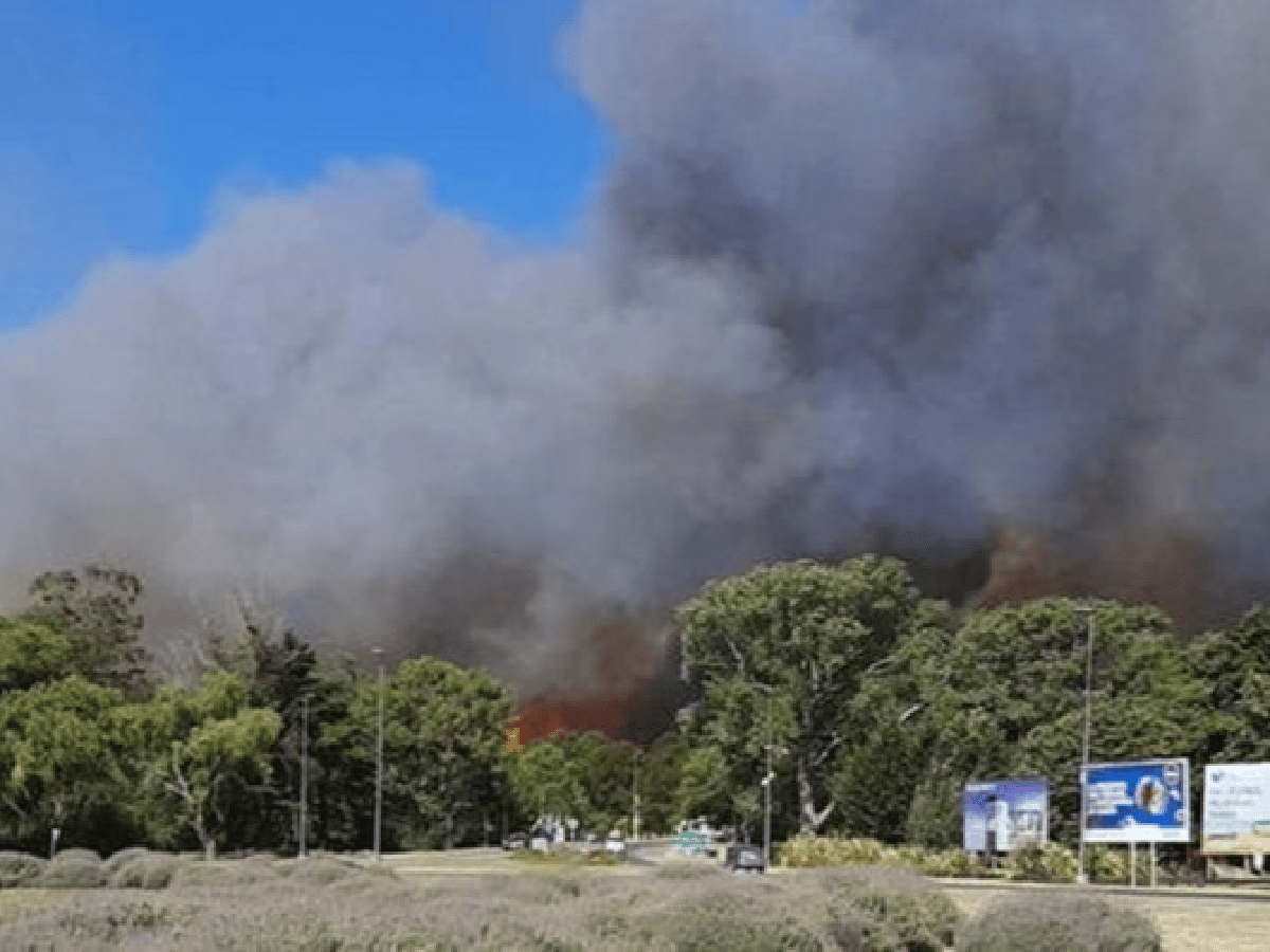 Incendio en Villa Gesell: arden 50 hectáreas y los bomberos intentan controlar el fuego
