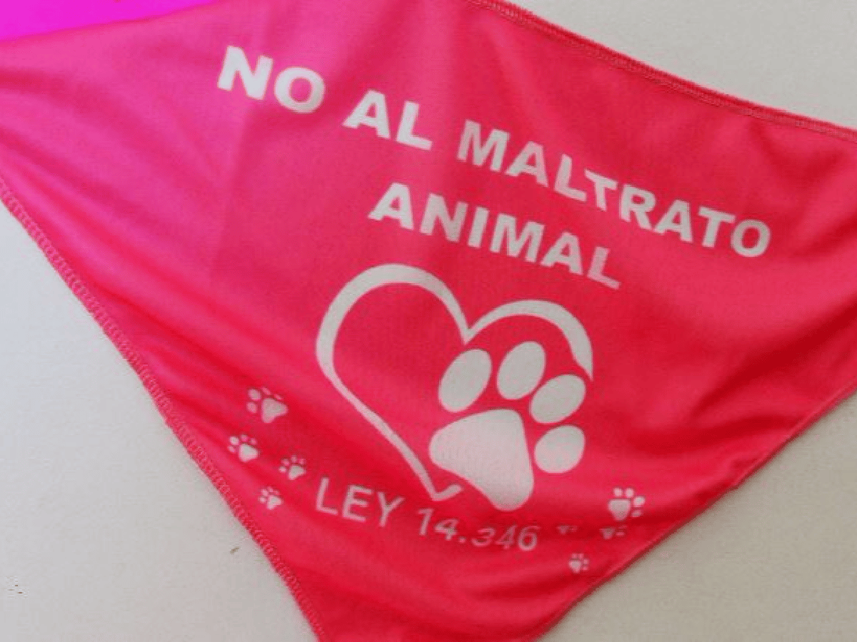 En contra del maltrato animal, el pañuelo rosa nuevamente a la venta