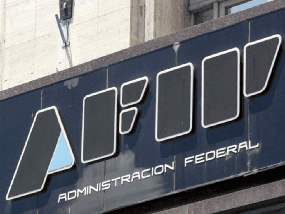 AFIP prorrogó hasta marzo su plan de pagos y la suspensión de embargos