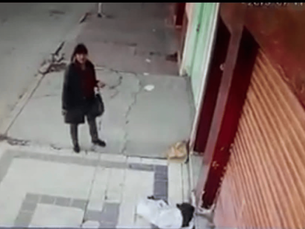 [Video] Escracharon a dos salteñas que abandonaron a un perro herido en la calle