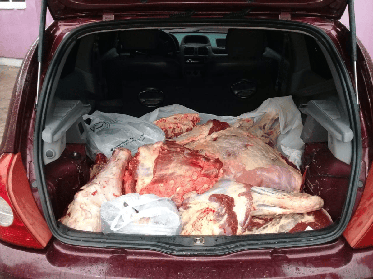 Marull: incautan 70 kilos de carne vacuna trozada y un freezer