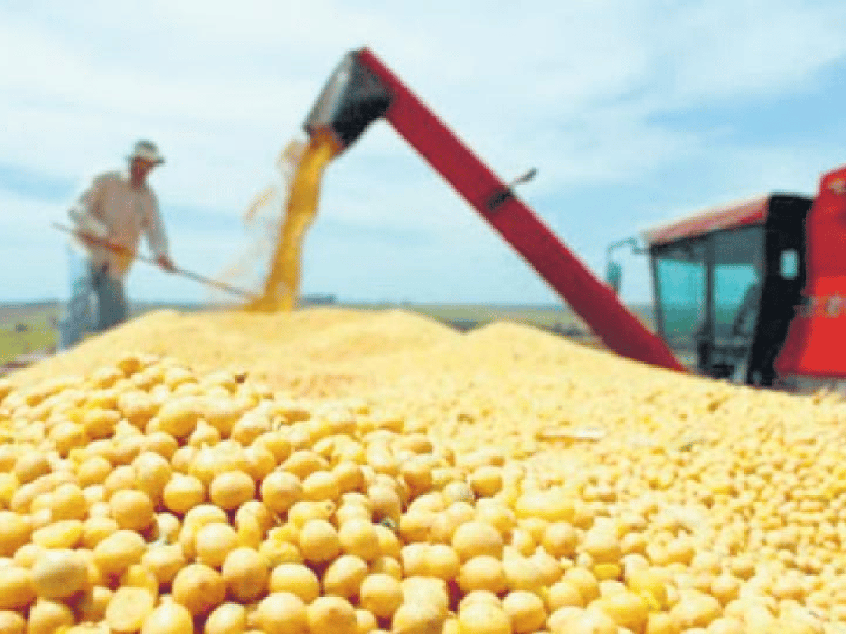 Retenciones: darán compensaciones a pequeños productores y cooperativas