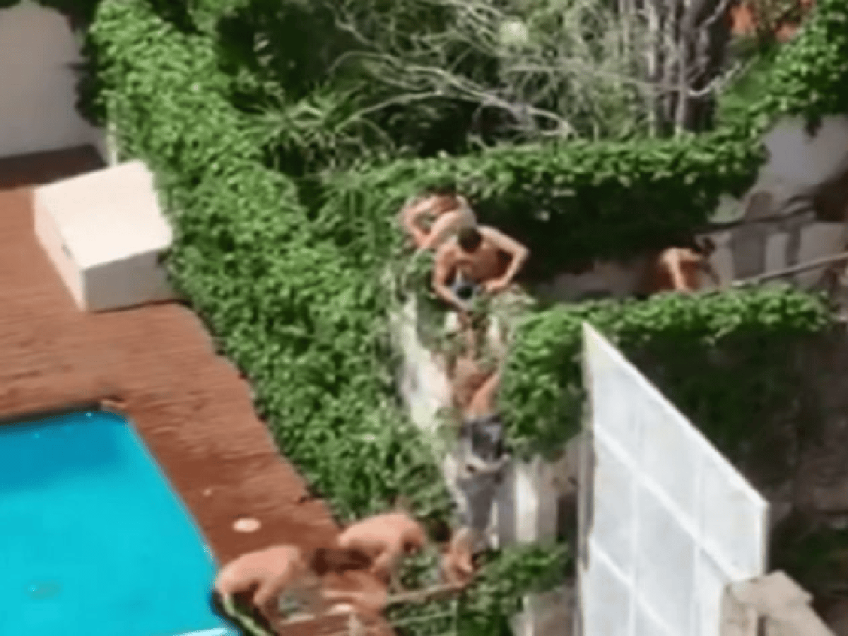 Detuvieron a ocupas por usurpar la piscina del vecino