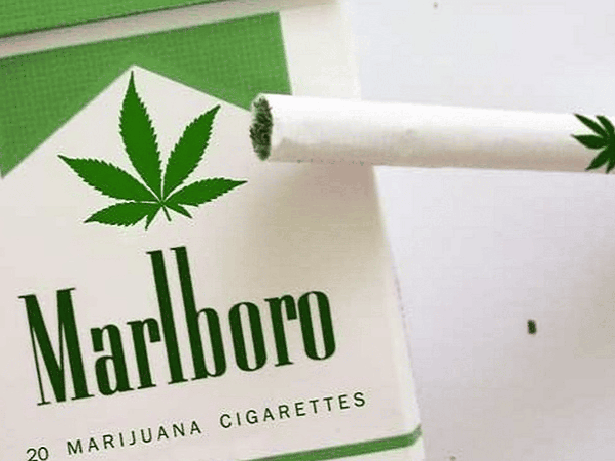La compañía dueña de Marlboro apuesta por el cannabis 