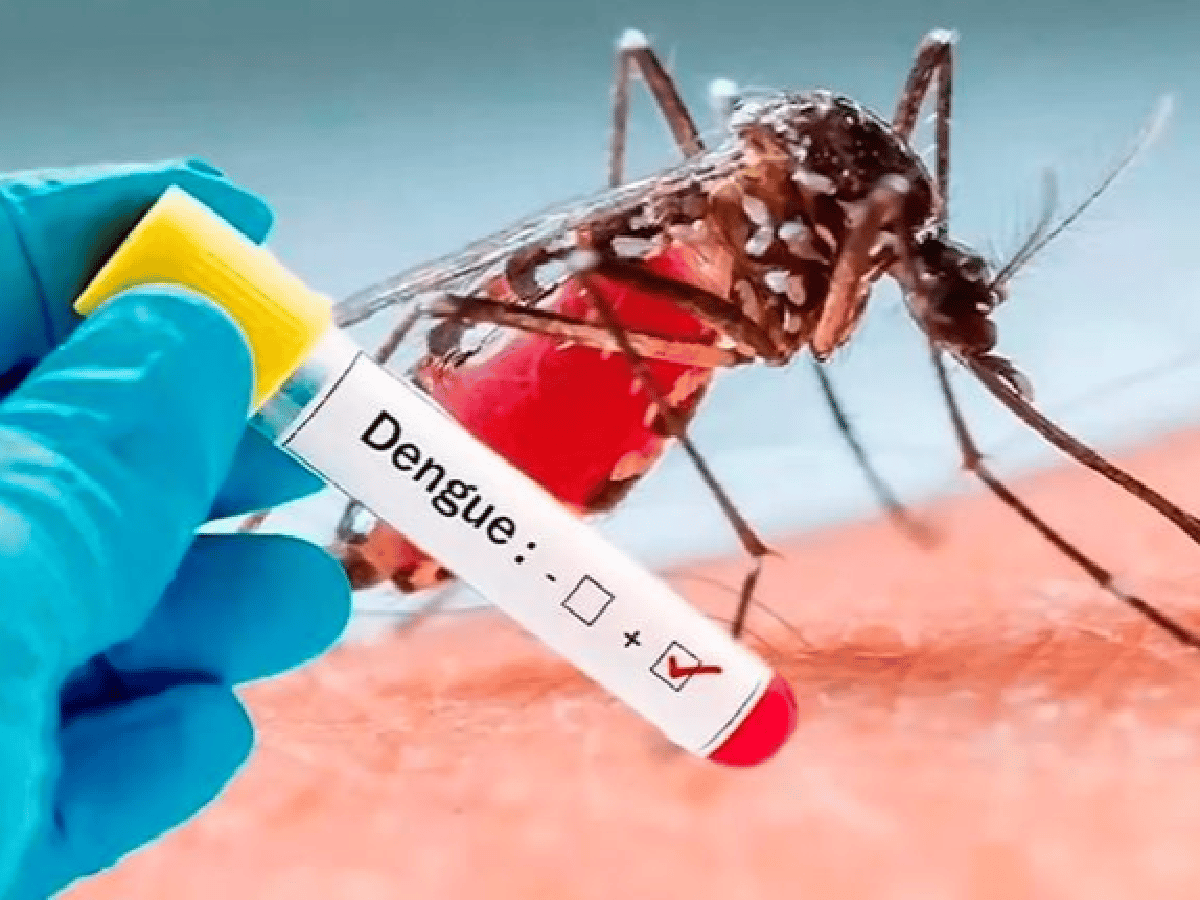 Primer caso de dengue en Devoto 