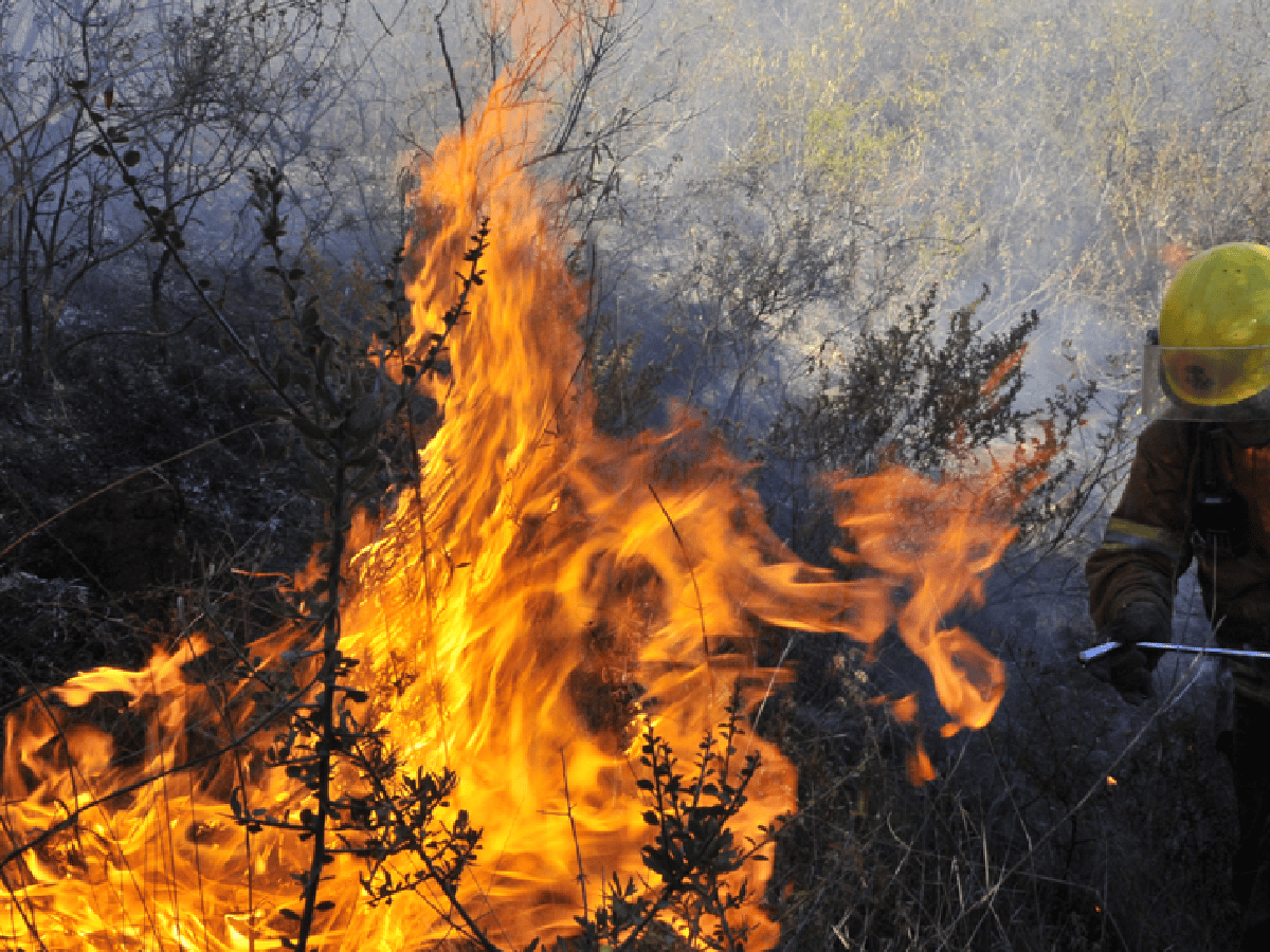 El Gobierno de Córdoba alerta sobre ‘riesgo extremo’ de incendios forestales