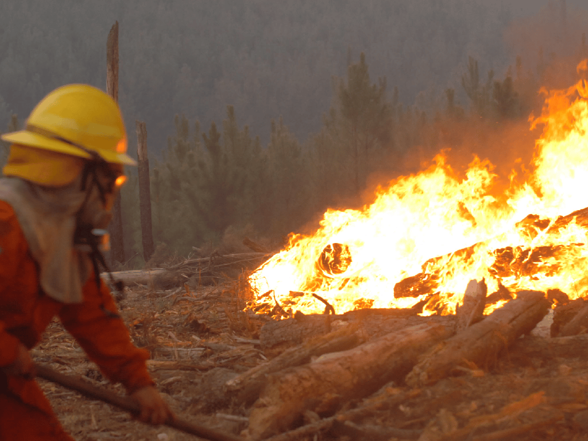 Mantienen el alerta "extremo" por incendios que ya afectan a más de 1.500 hectáreas
