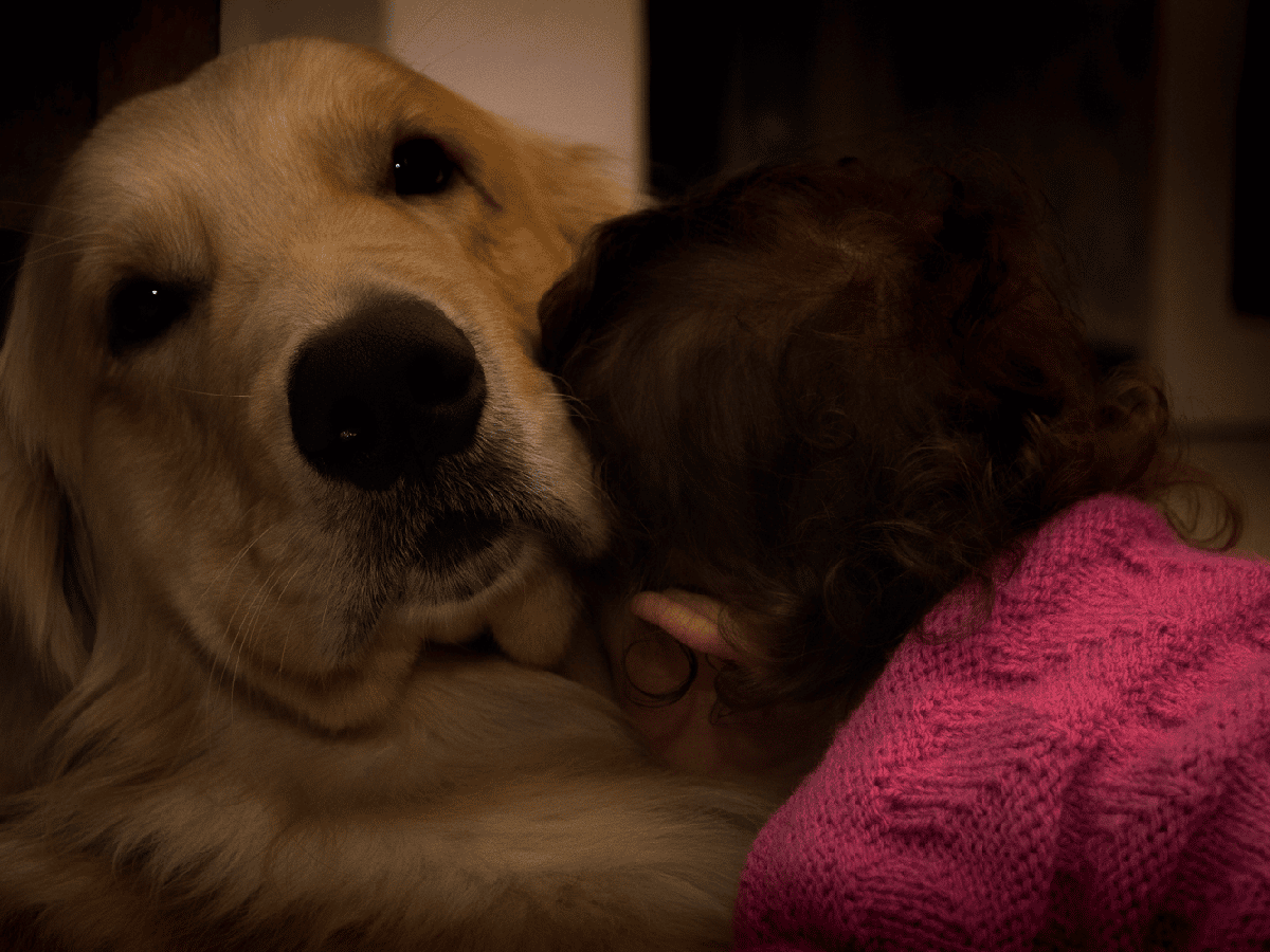 Amor canino: un aliado para la salud