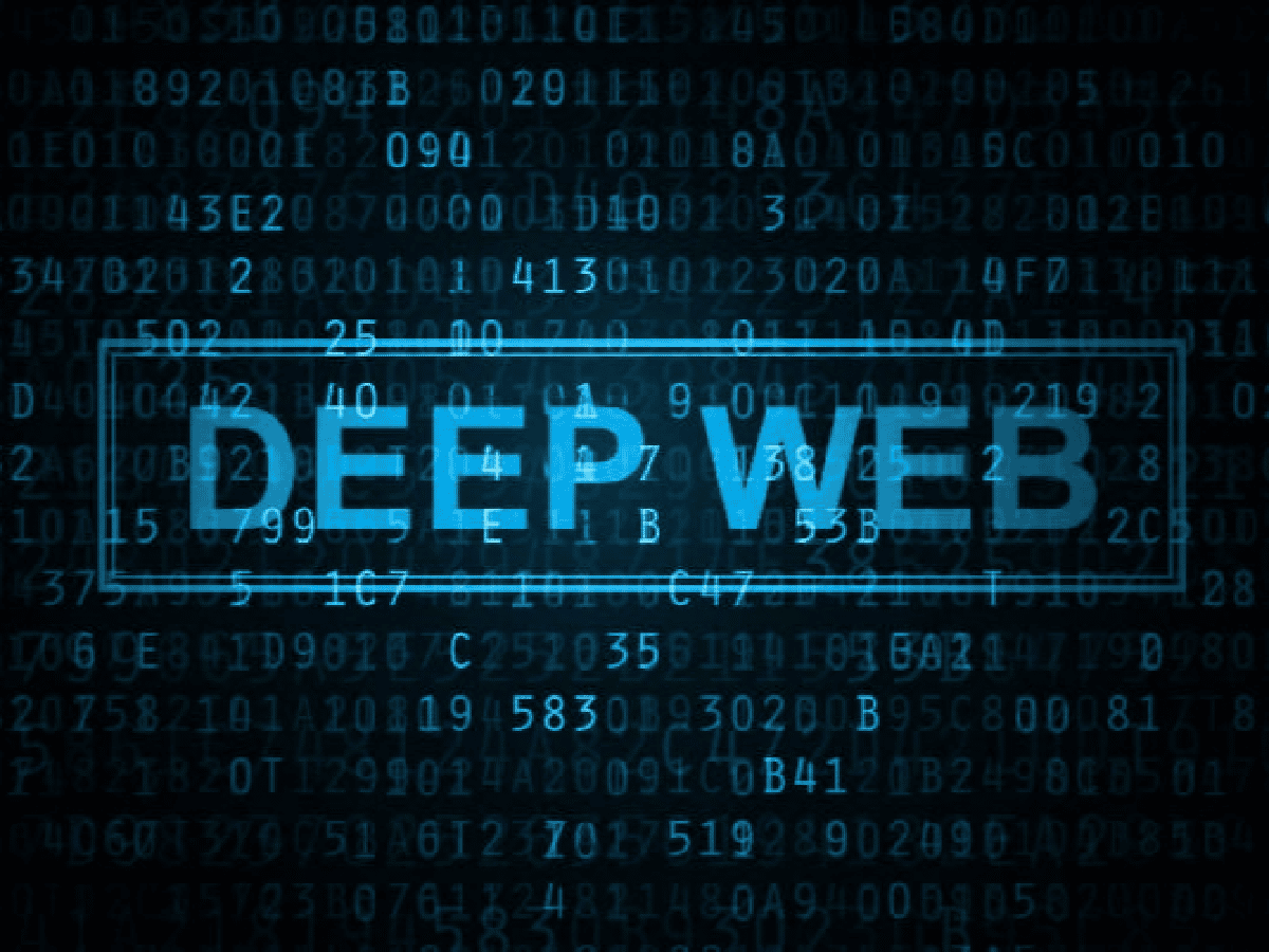Deep web, donde está todo lo que los buscadores no indexan