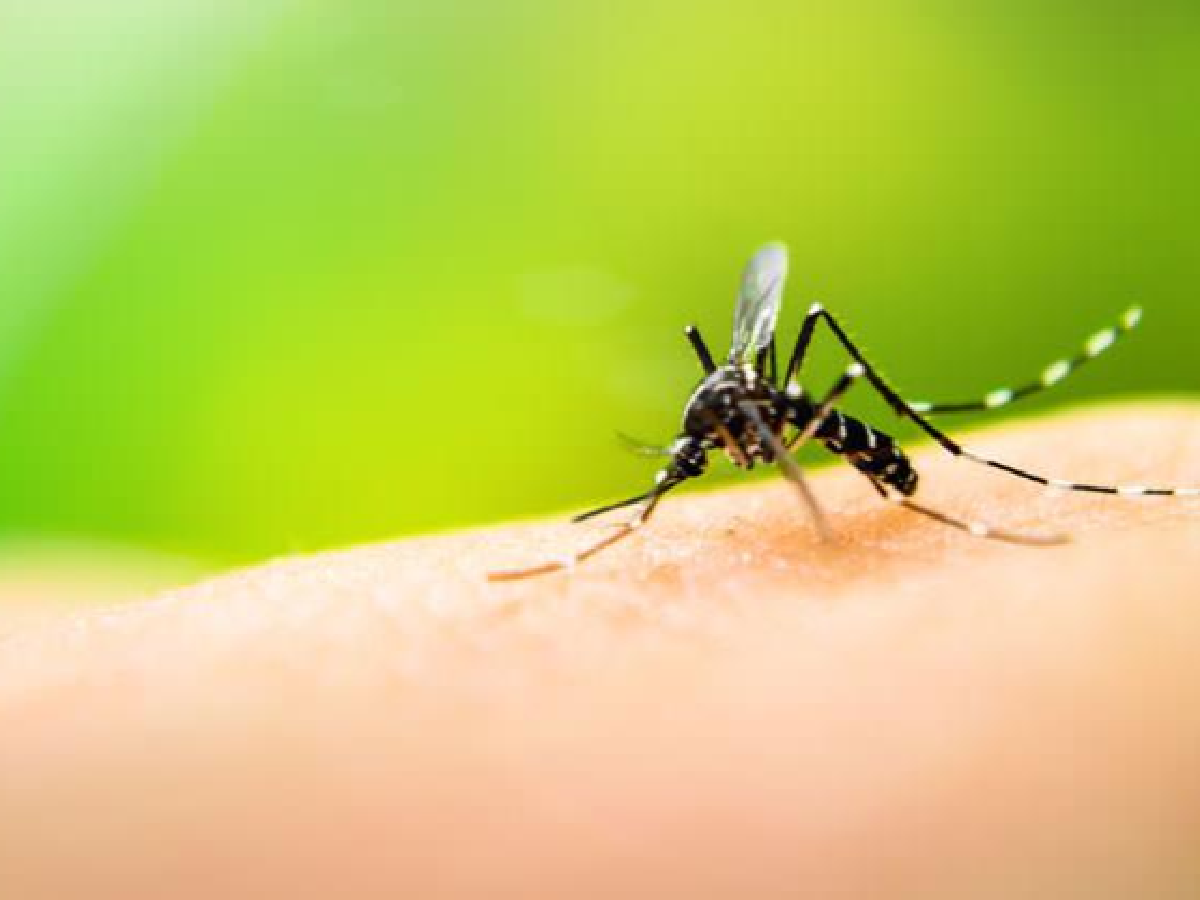 Córdoba: Salud advierte por nuevos casos de dengue