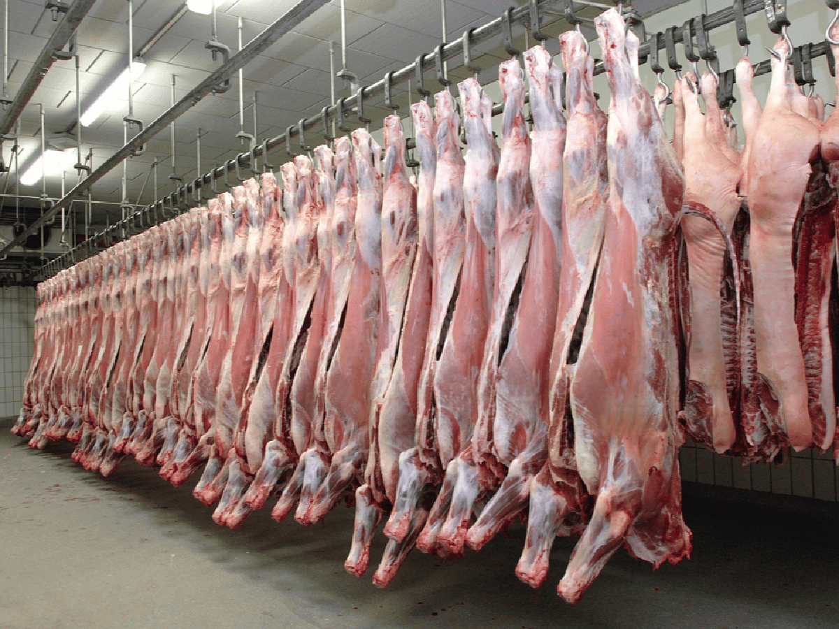 La carne argentina, presente en la "China International Import Expo"