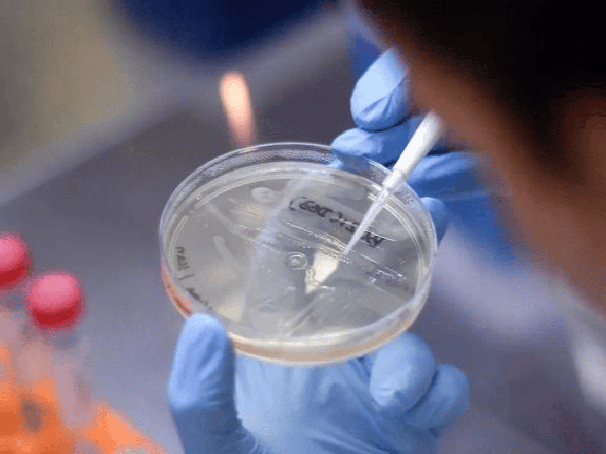 Científicos descubren que un antiparasitario acabaría con el coronavirus en 48 horas