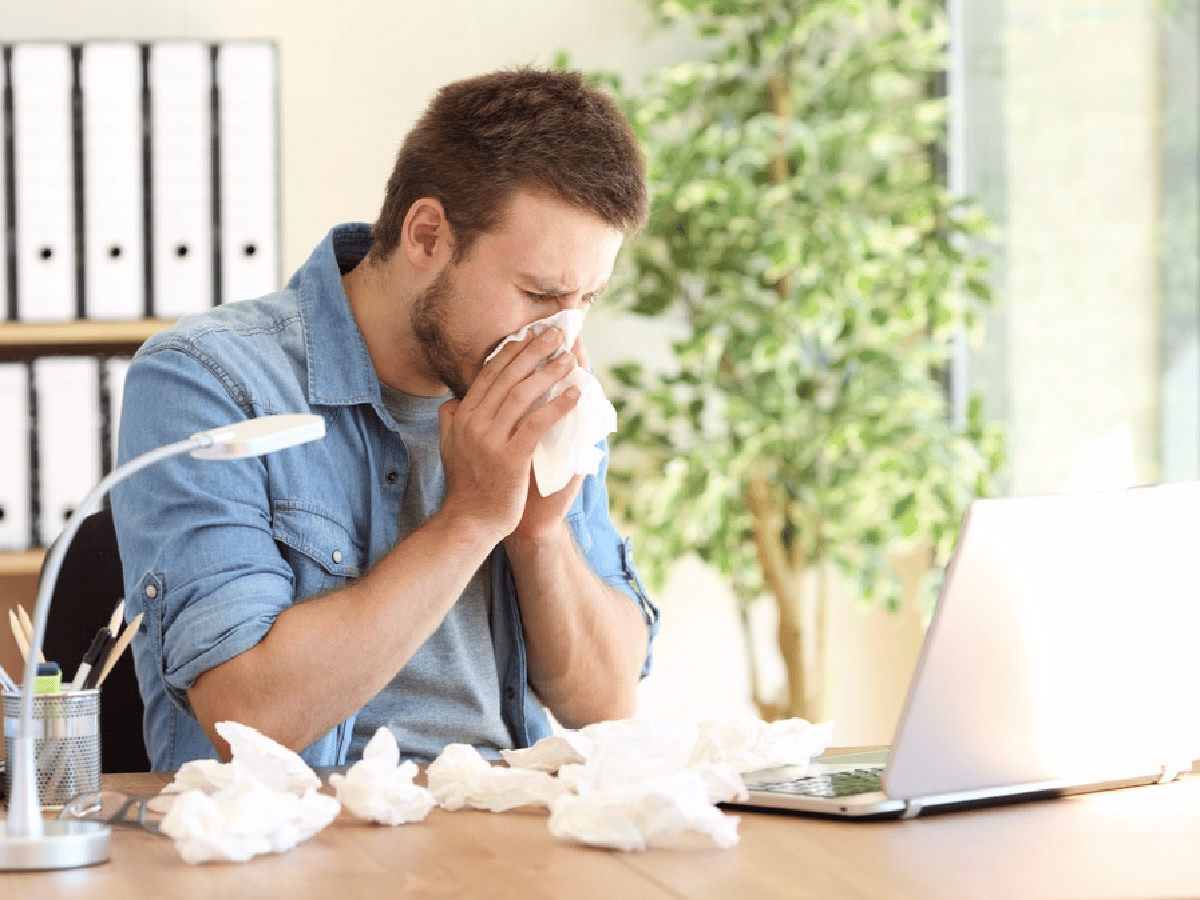 Alergias en el trabajo: ¿Cuáles pueden aparecer?