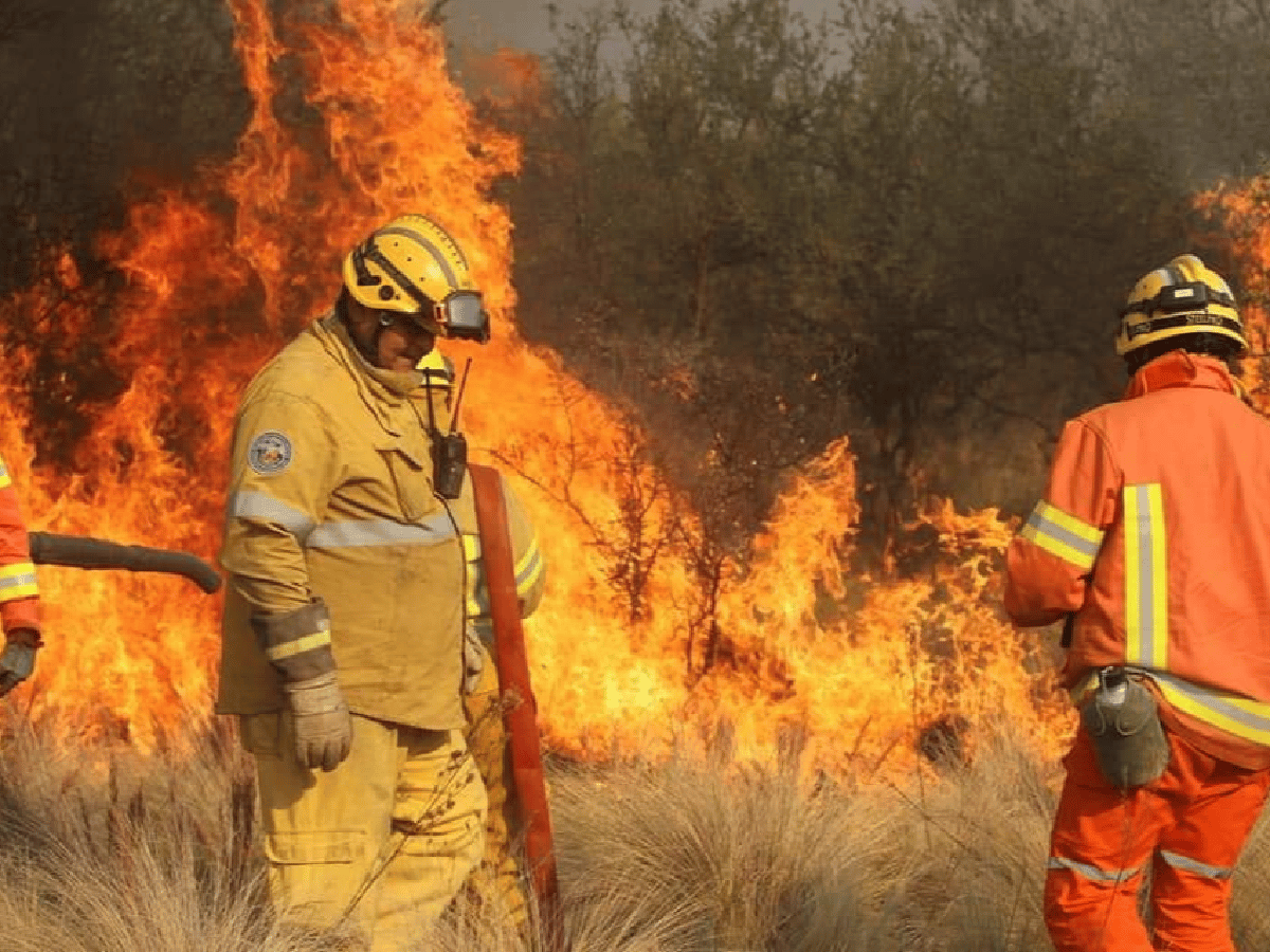 Bomberos de San Francisco y la región combaten el fuego en las Sierras