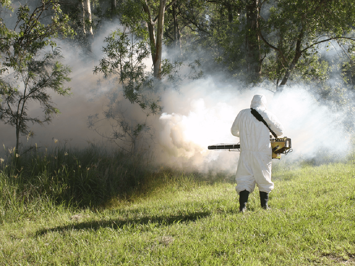 Arroyito: se comenzó con la fumigación contra mosquitos
