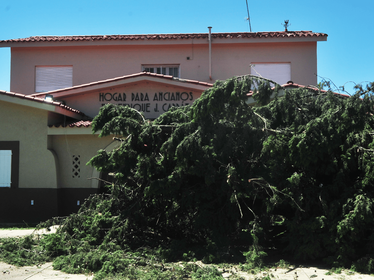 Hogar de Ancianos: en los próximos días  removerán árboles caídos tras el temporal 