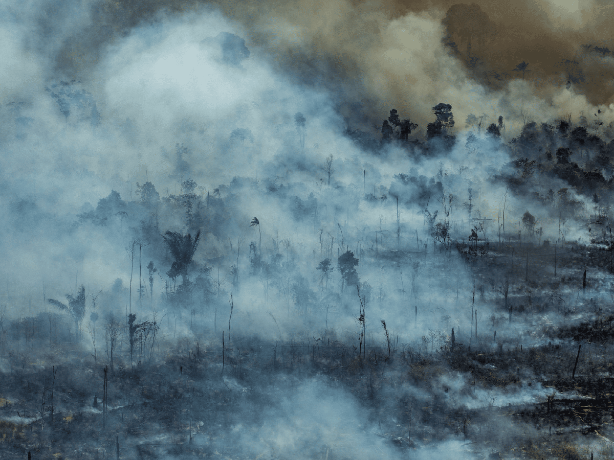 Cuatro bomberos de Arroyito combatirán el incendio en el Amazonas