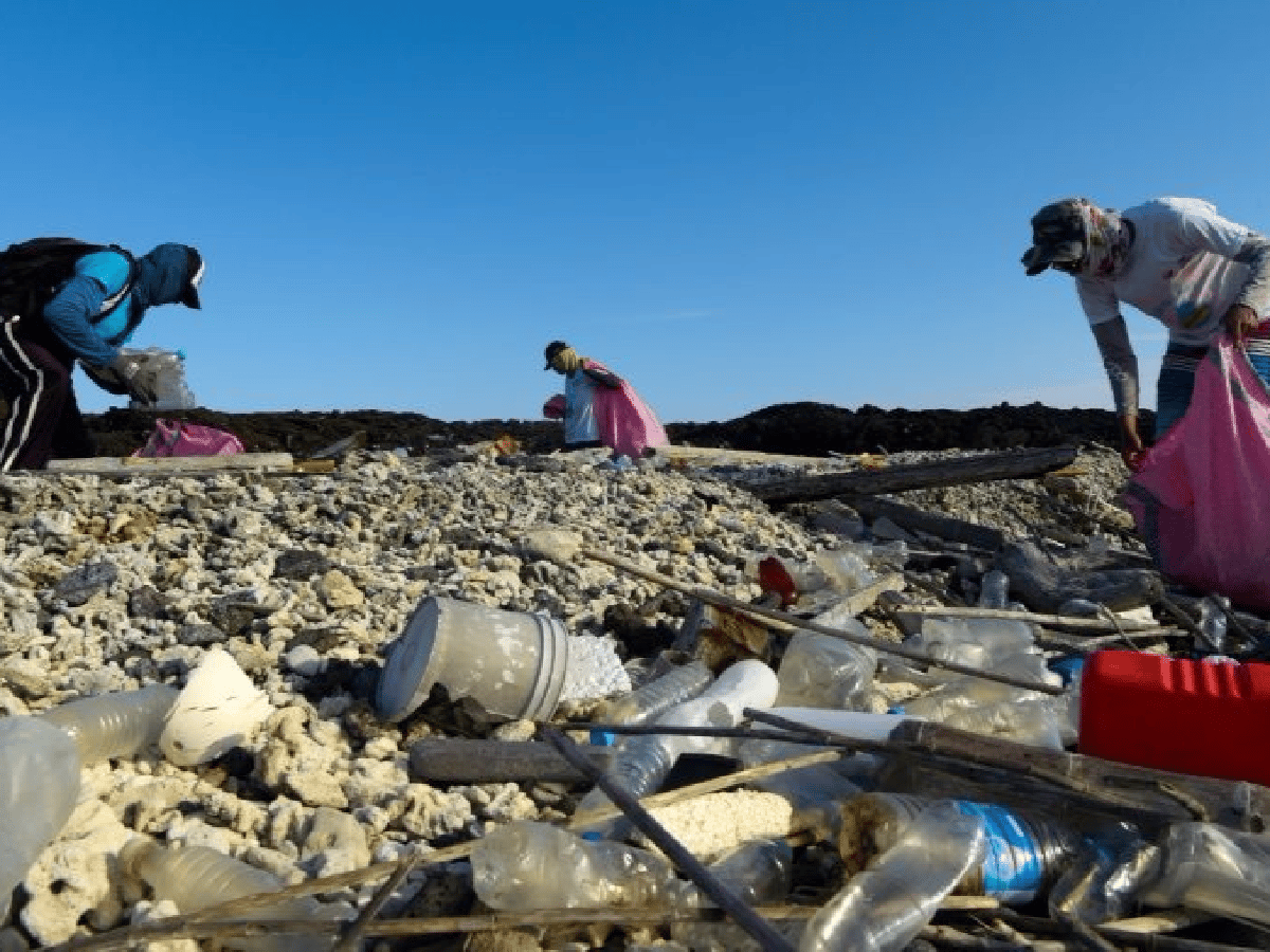 Un monstruo en el paraíso: el plástico amenaza la vida en Galápagos