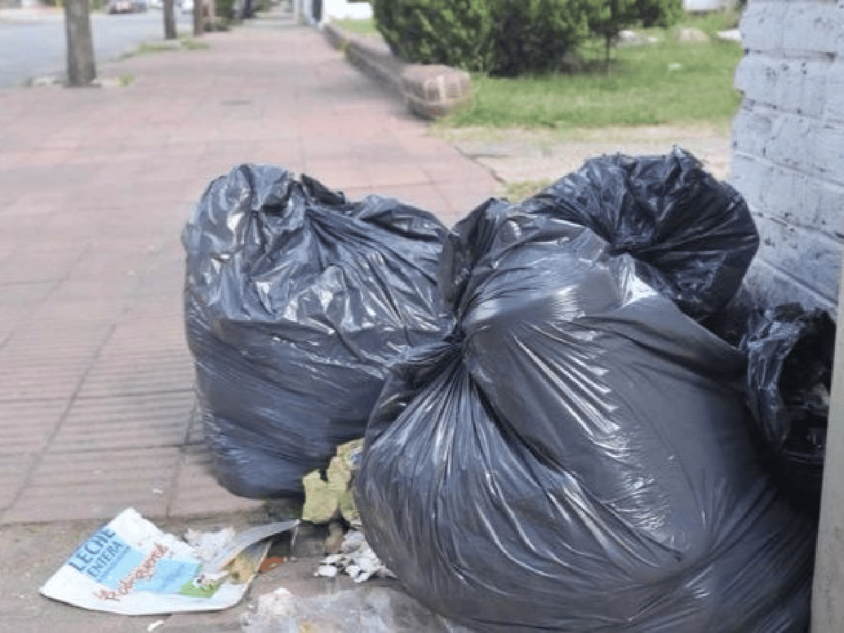 Encuentran 2,5 millones de pesos en billetes triturados en tres bolsas de basura en Córdoba