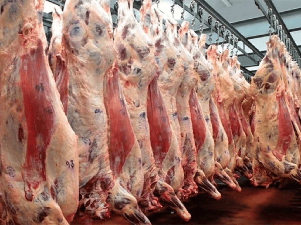 Por China, las exportaciones de carne fueron récord histórico