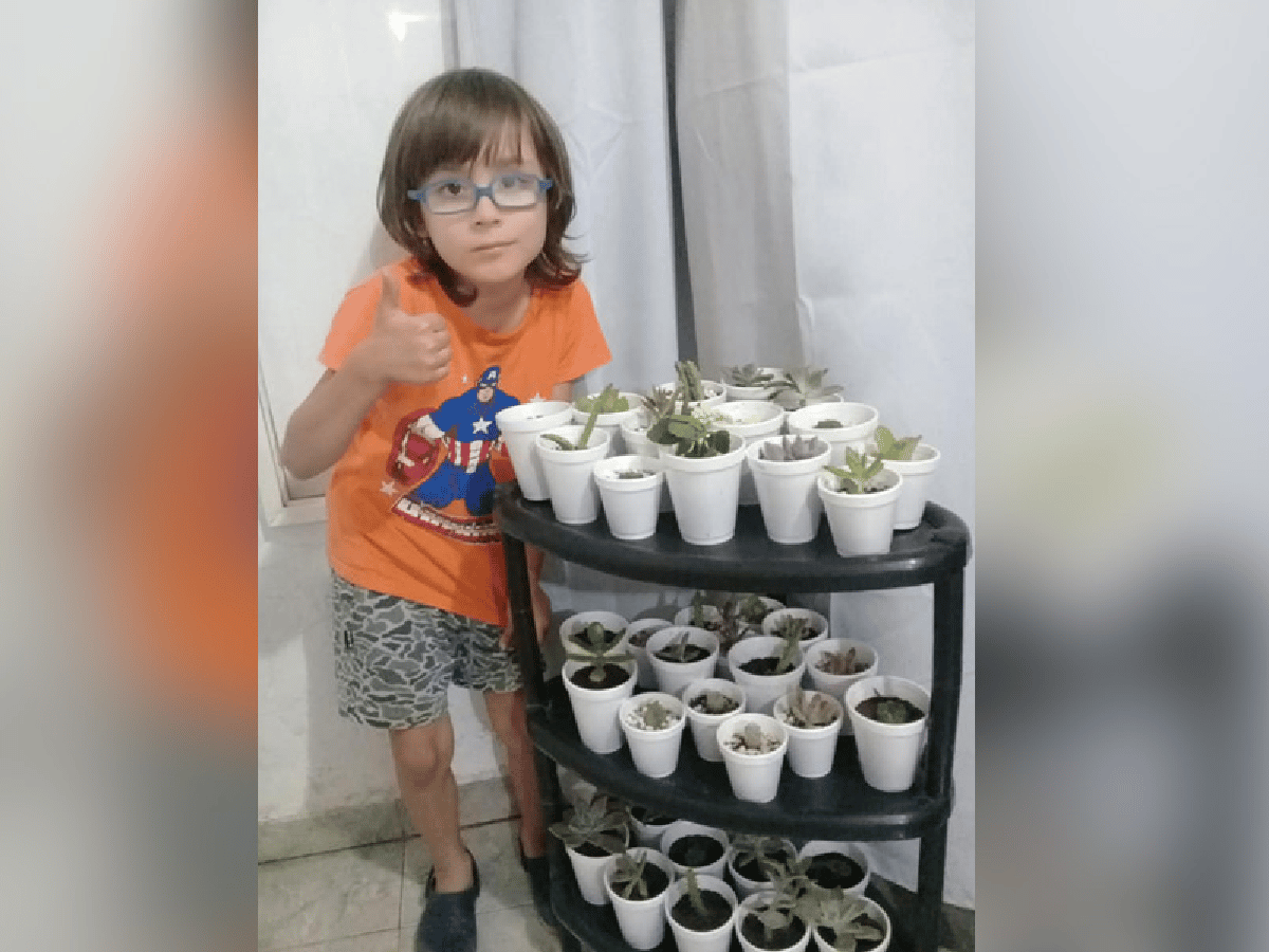 Con sus 6 años, Caín vende cactus  para comprarse sus libros favoritos 