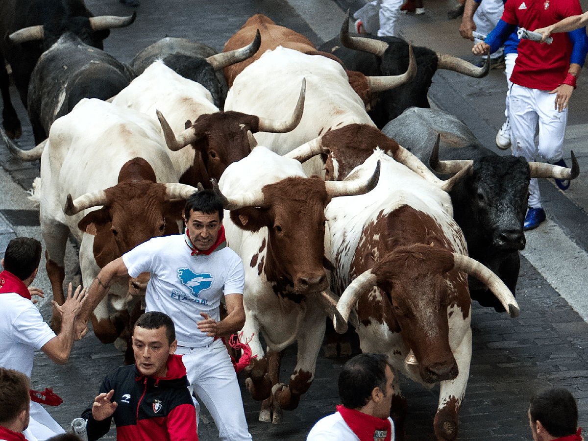  Tres heridos por asta de toro en el último encierro de la fiesta de San Fermín