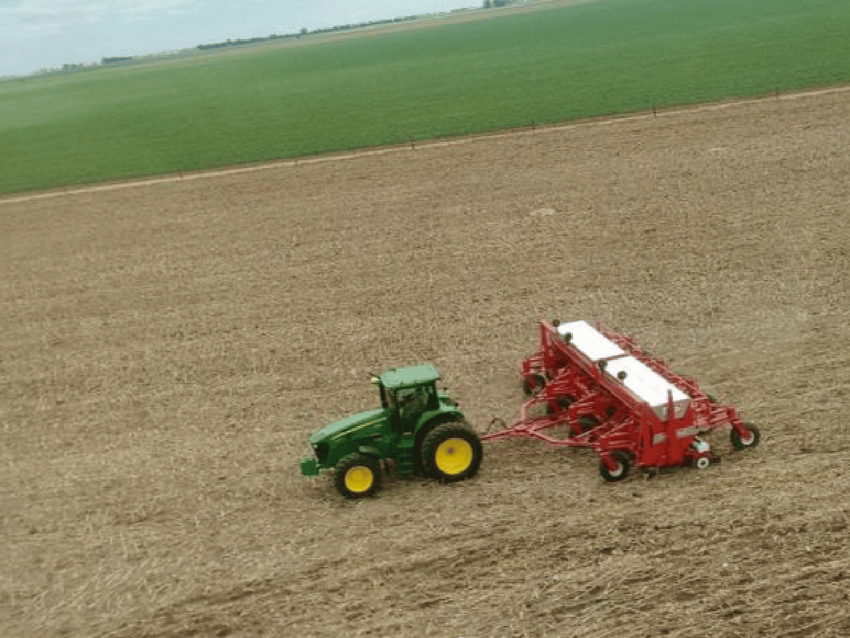 Panorama agrícola: comenzó la siembra de soja y el trigo sigue reportando pérdidas