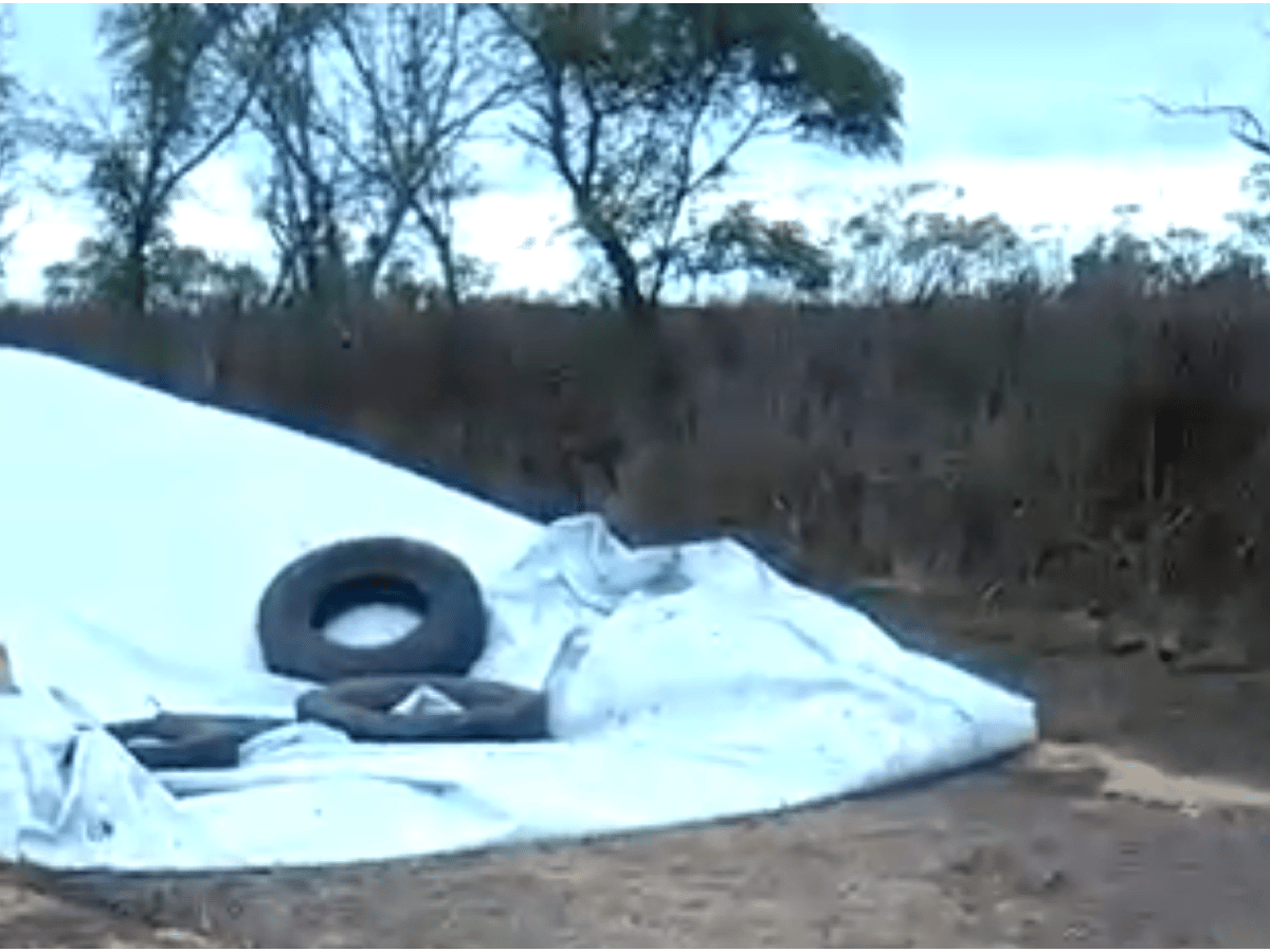 Colonia Cello: robaron 31 toneladas de soja guardadas en silobolsas