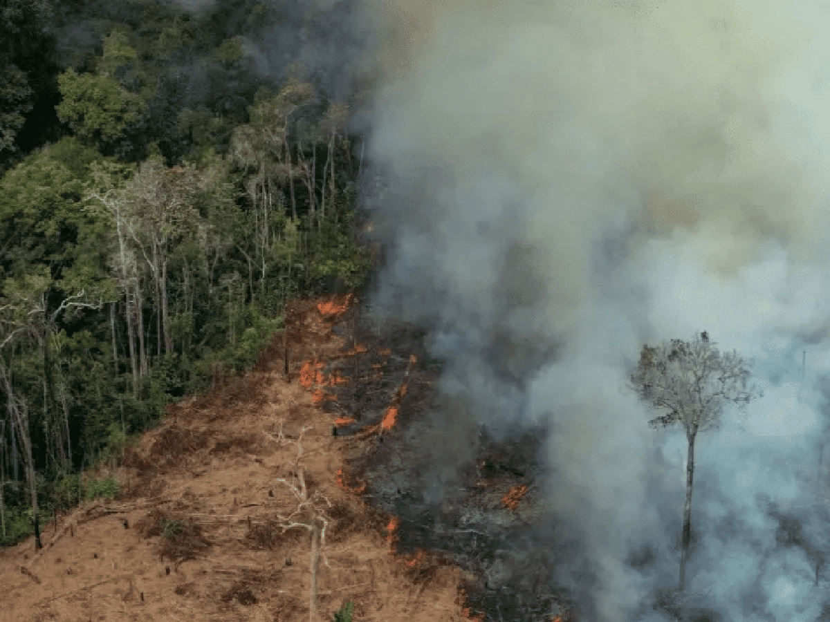 Diez Bomberos de San Francisco, están a disposición de combatir el fuego en el Amazonas
