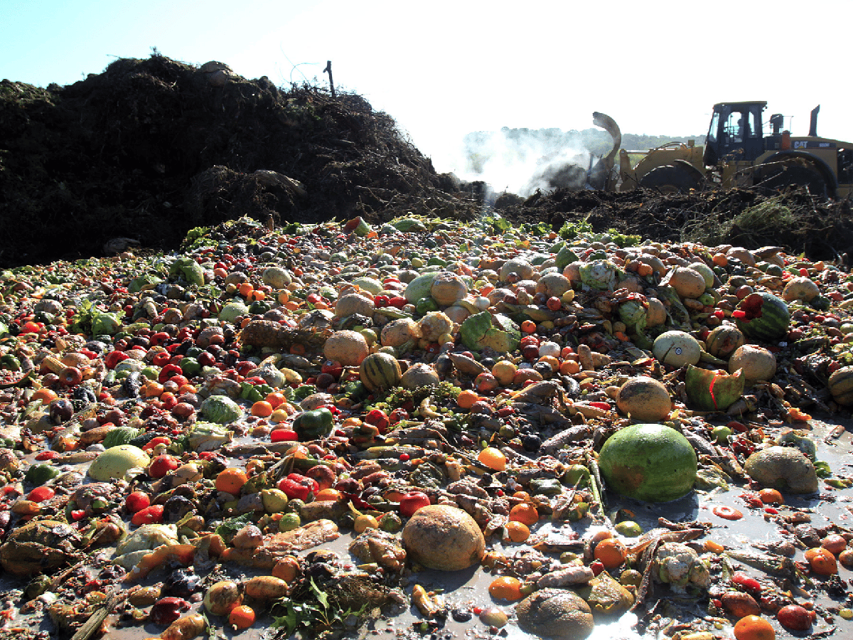 América latina y el Caribe desperdician el 20% de la comida que se pierde en el mundo, según la ONU