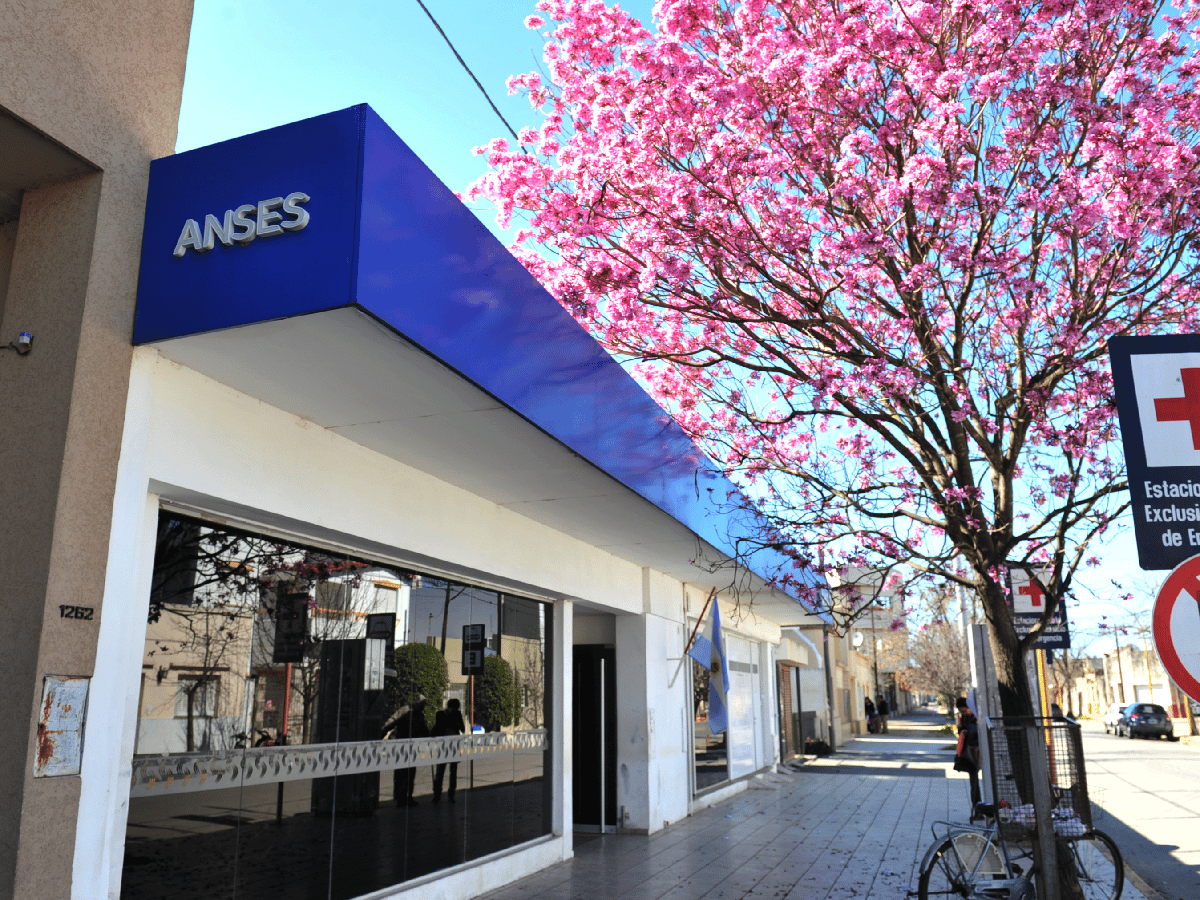 La Anses lanzó créditos y descuentos  de hasta 25 % en supermercados