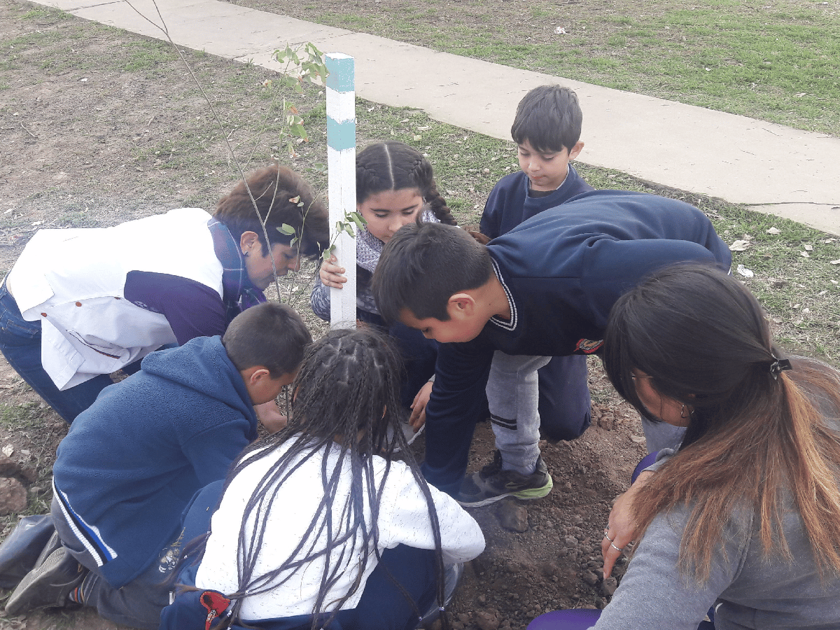 Brinkmann: niños plantaron árboles autóctonos