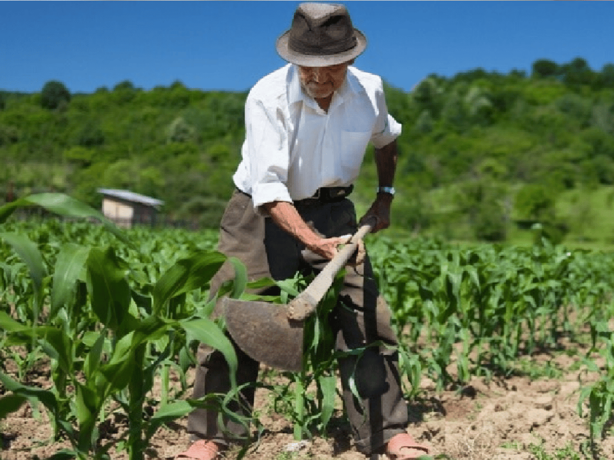 La Legislatura vota el proyecto de Ley de Agricultura Campesina
