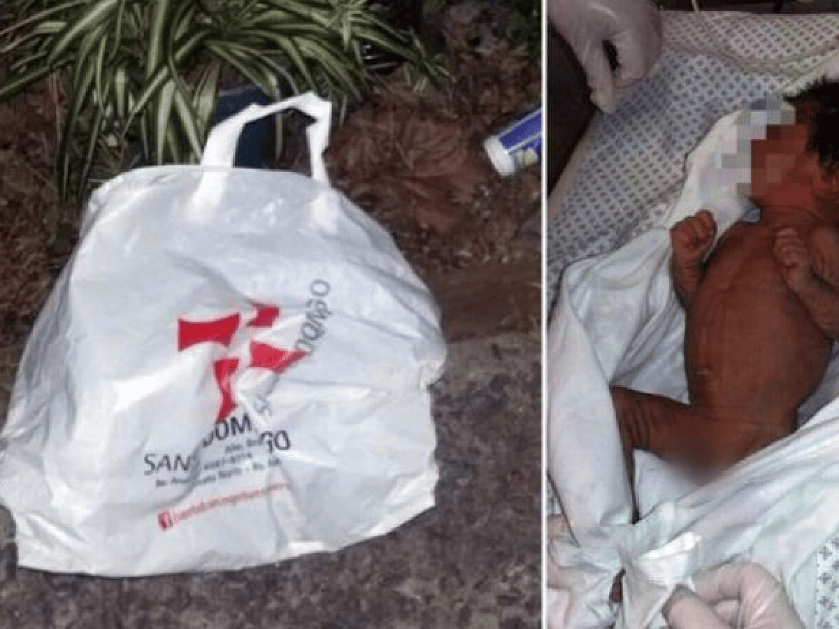 Un perro encontró un bebé abandonado y lo salvó del frío en Vicente López