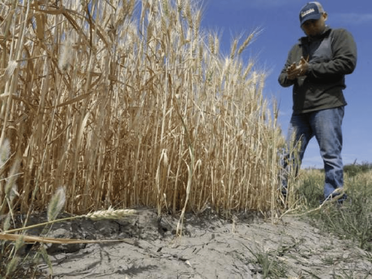 Córdoba registra los mayores niveles de sequía del país por la falta de lluvias