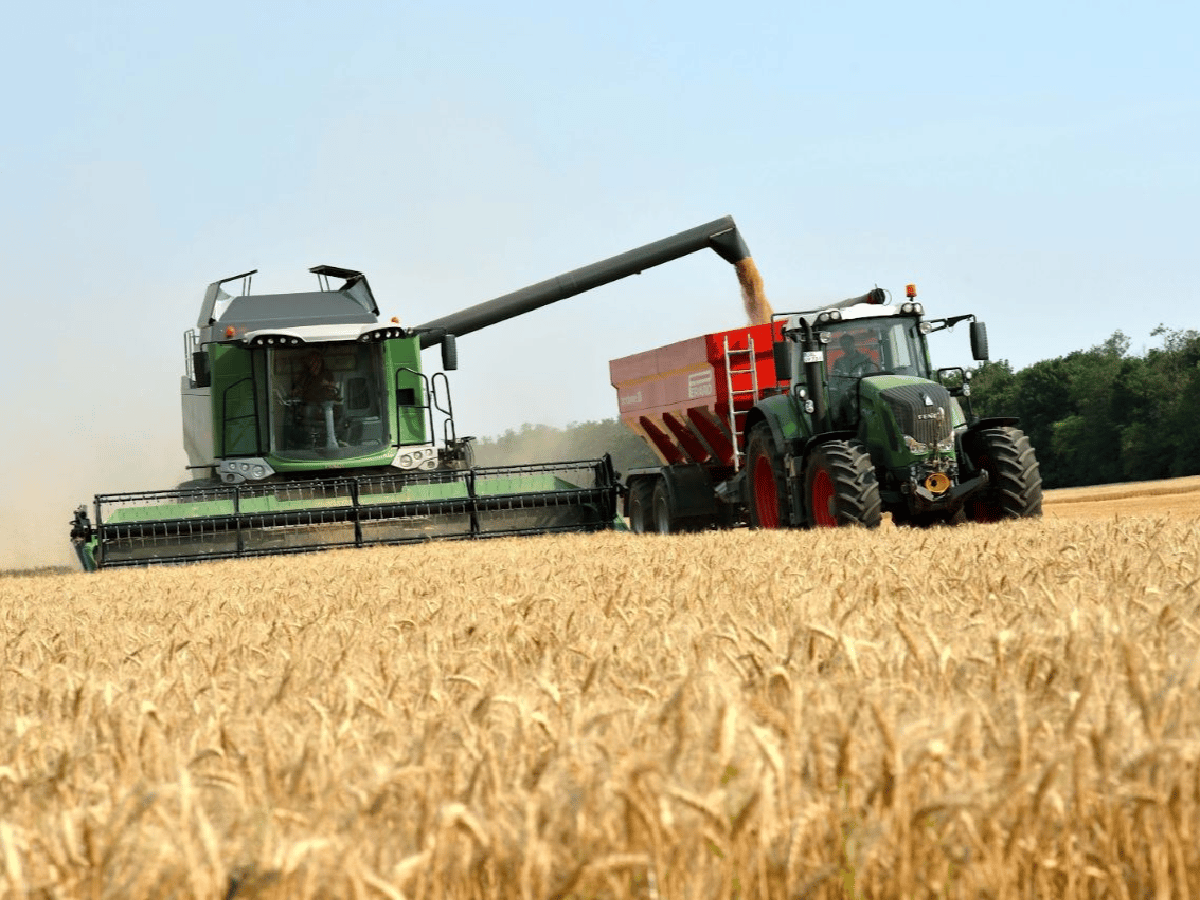  Prevén una disminución de 13% en la cosecha de granos de Córdoba
