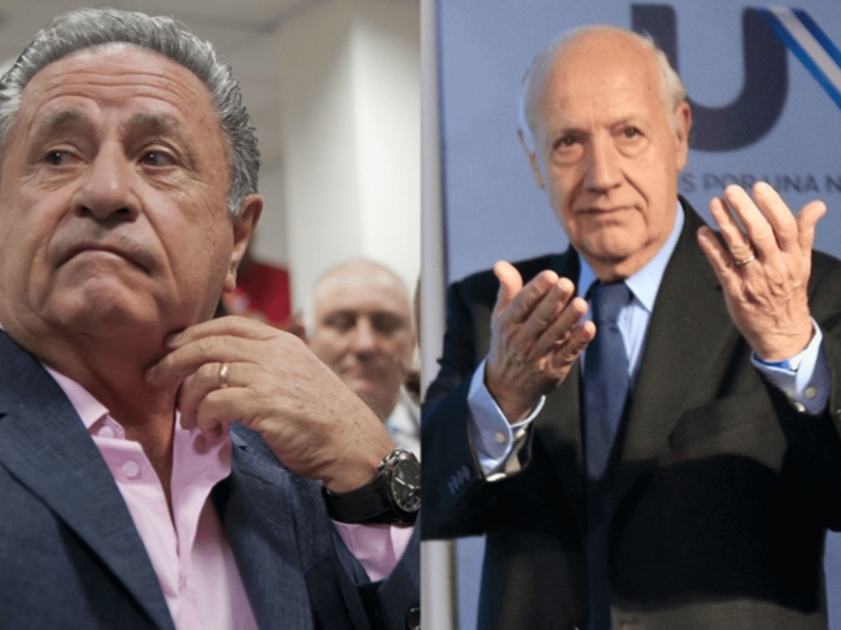 Duhalde: "Creanmé que Lavagna es el candidato"