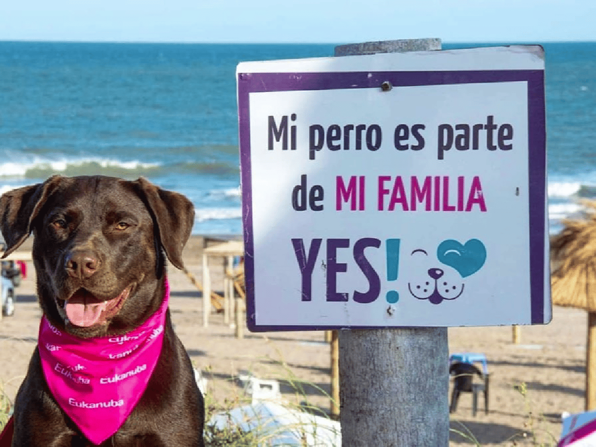 Mar del Plata cuenta con una playa exclusiva para disfrutar con perros