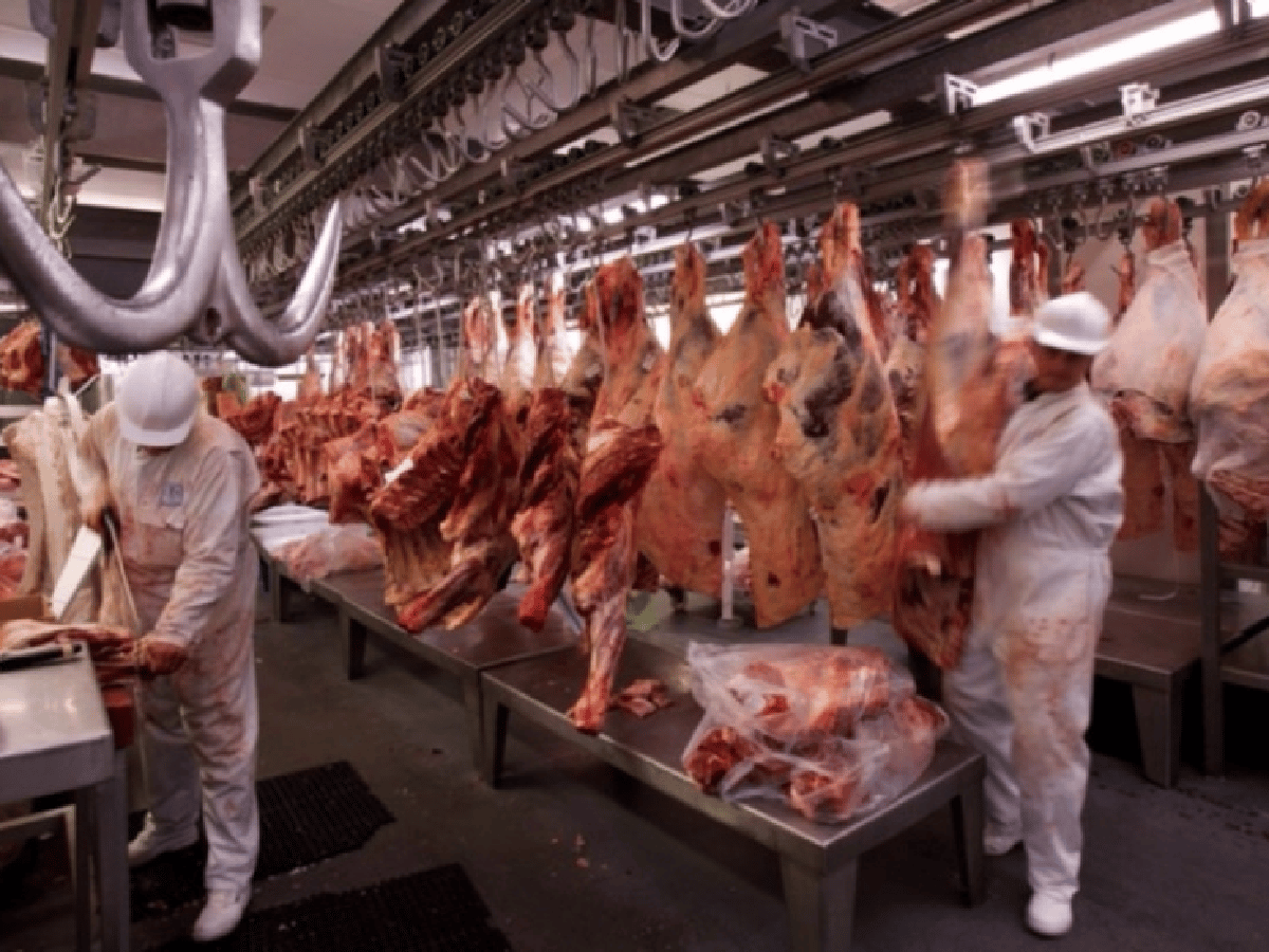 Siete de cada 10 kilos de carne vacuna se exportan a China
