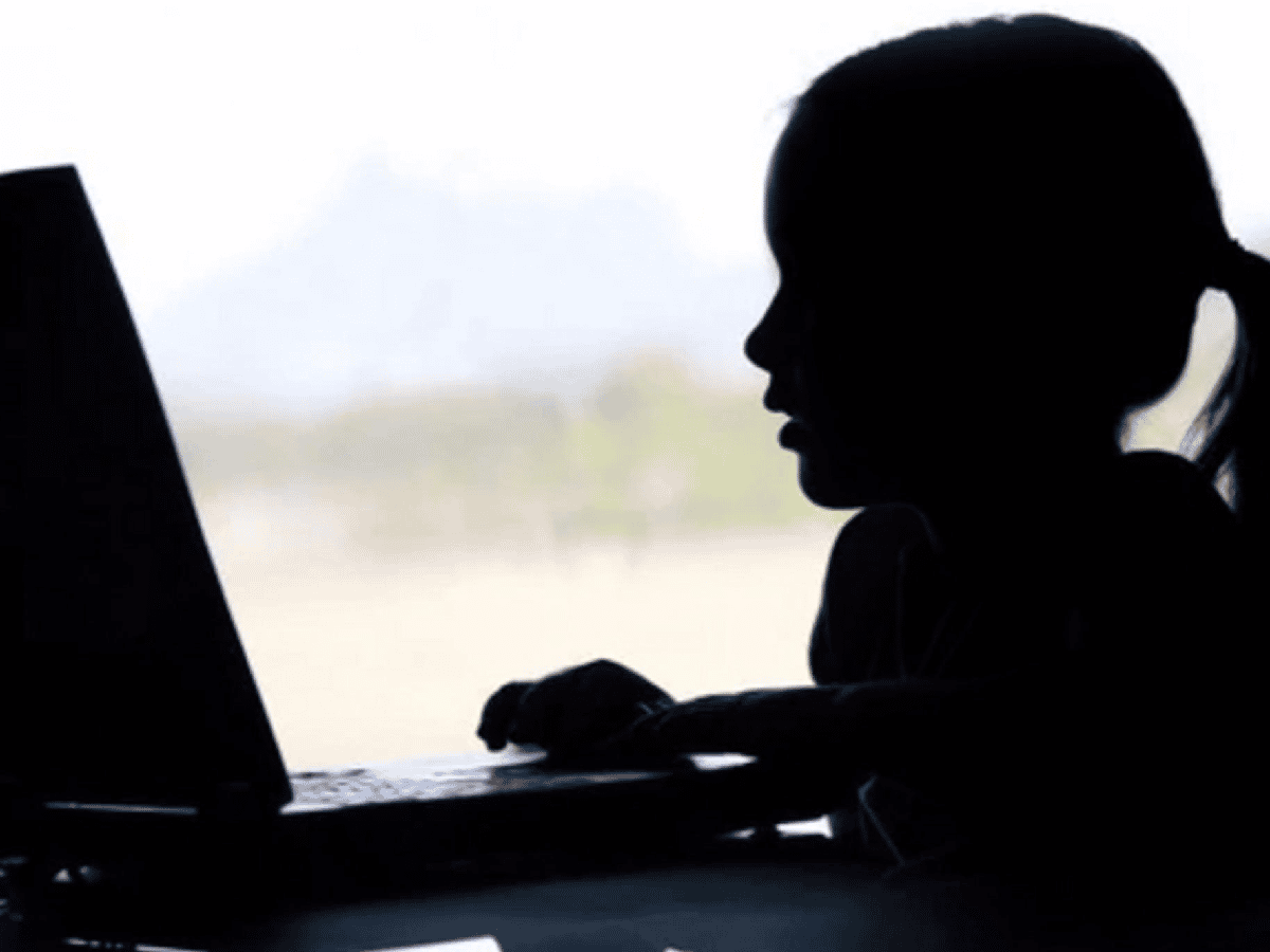 Los chicos y el riesgo de sufrir  acoso a través de Internet 