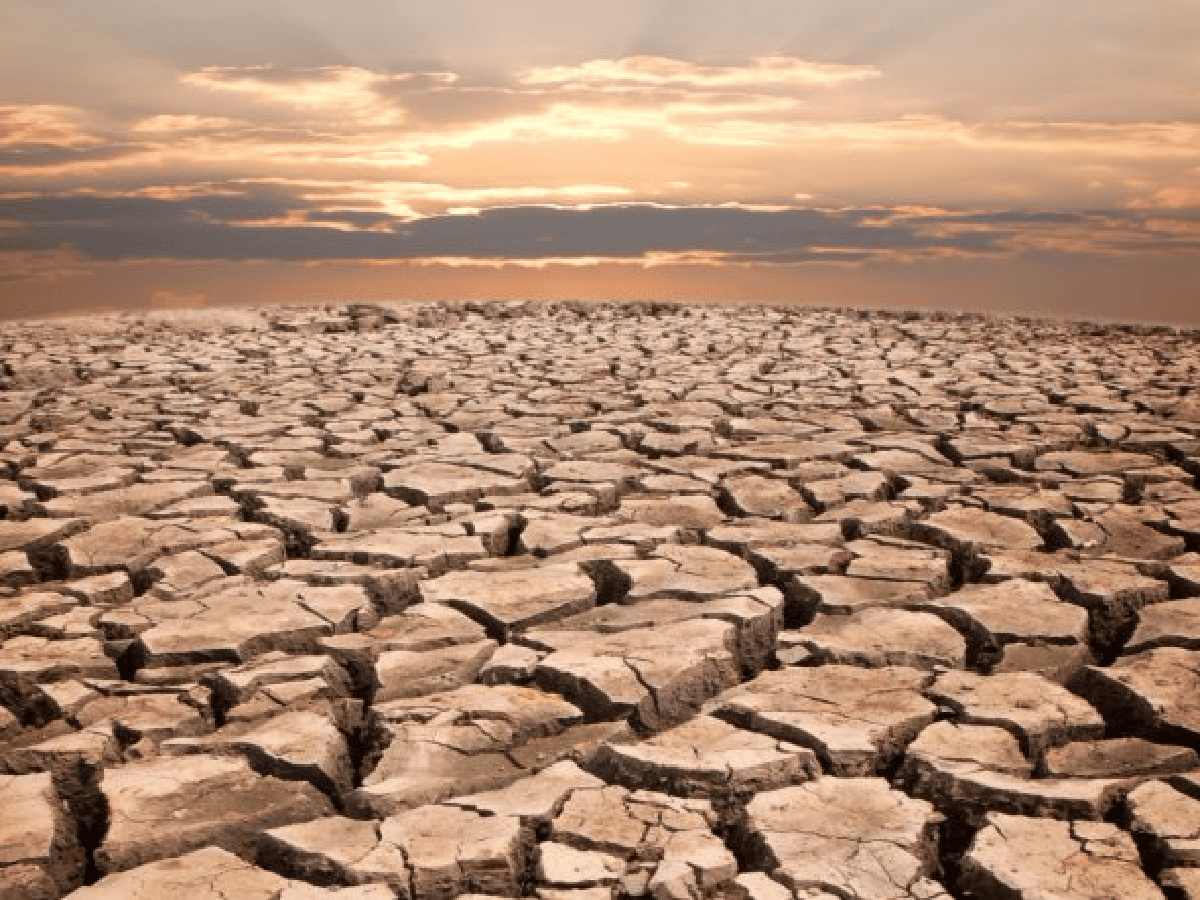 El 36% del suelo argentino sufre procesos de erosión, según estudio del INTA
