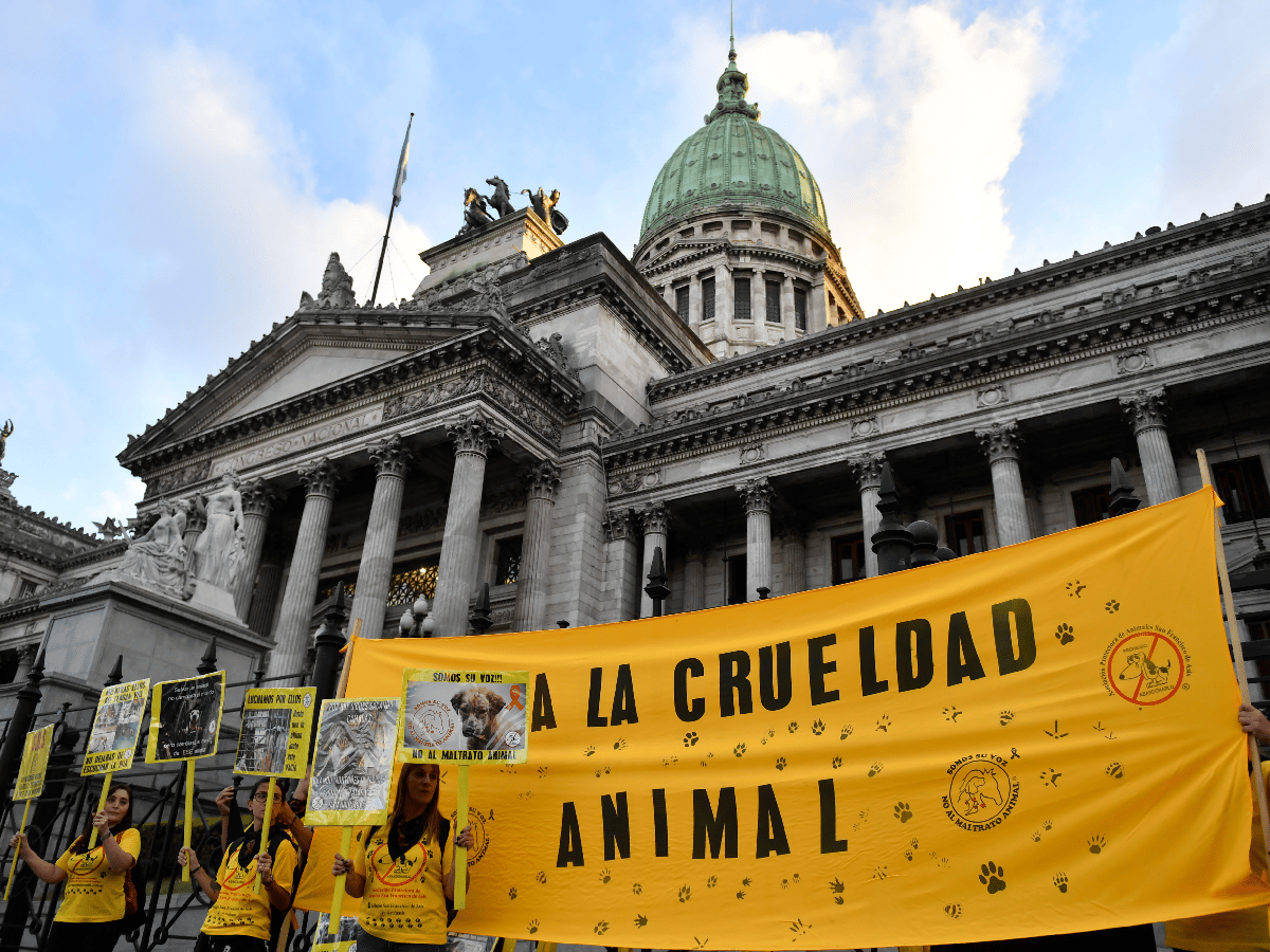 Activistas reclamaron frente al Congreso la sanción de tres leyes de protección animal