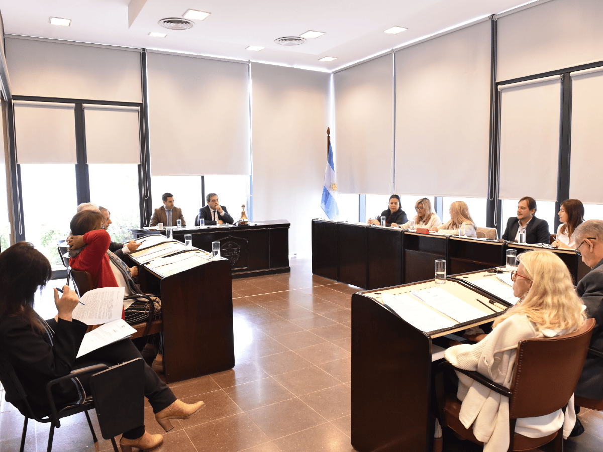 El nuevo Concejo Deliberante: un bloque más, enroques, debutantes y el “otro” peronismo del lado opositor    