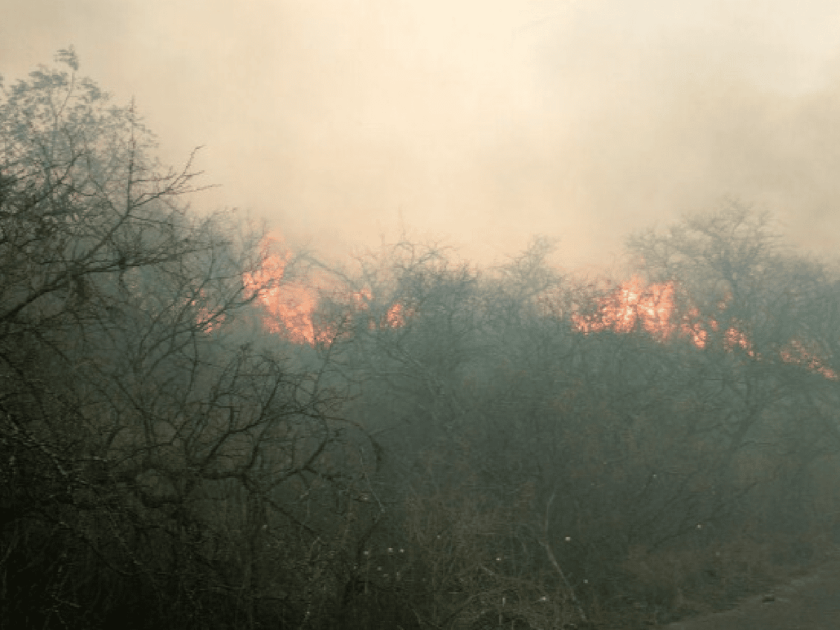 Bomberos combaten dos focos de incendio en bosque serrano